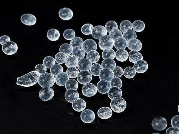 shoe desiccant