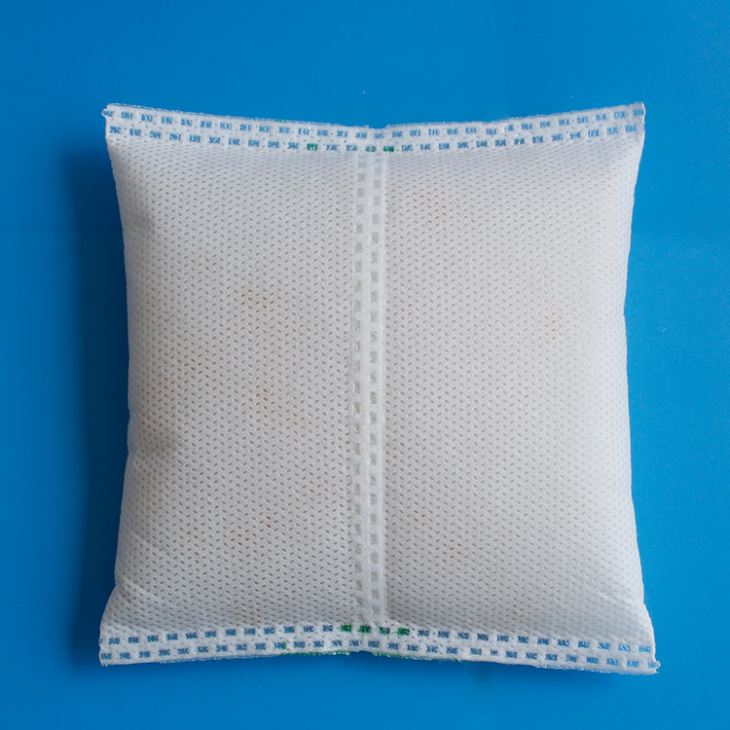 Non-toxic 100g Silica Gel Desiccant