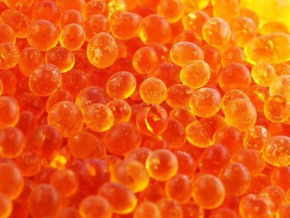 Orange Silica Gel Desiccant